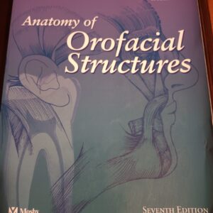 anatomy of orofacial structures front