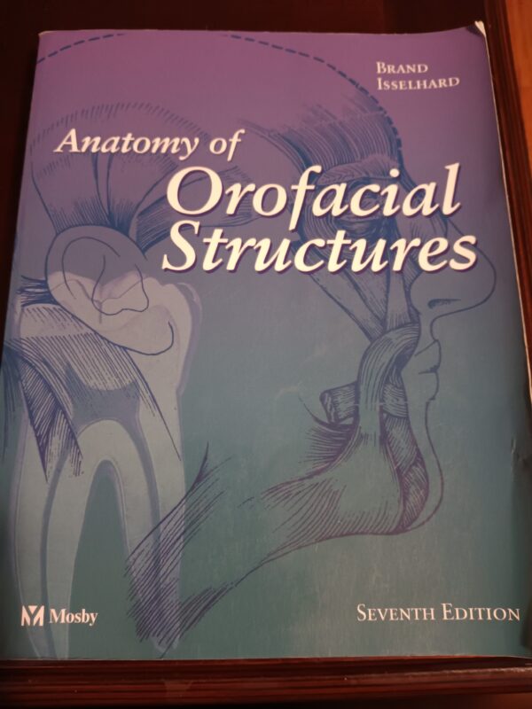 anatomy of orofacial structures front